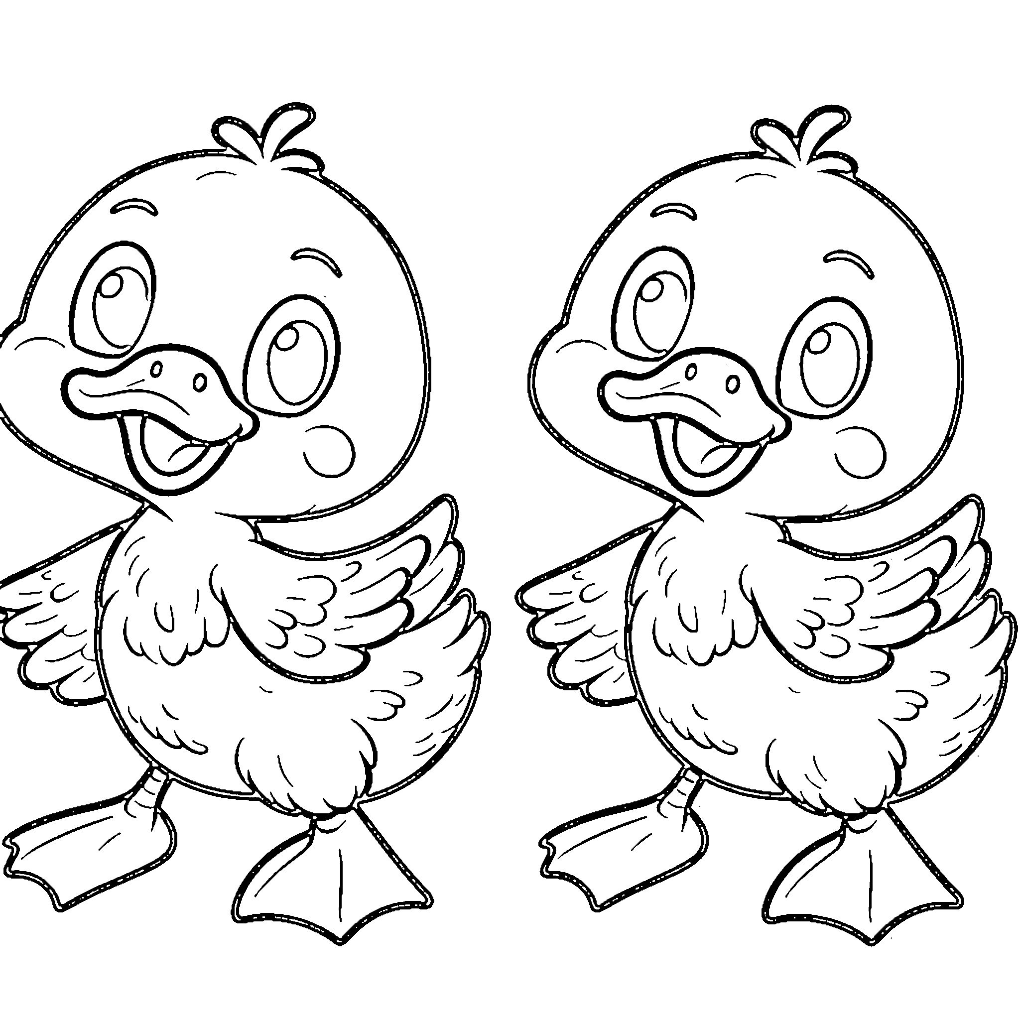 bebek c28
